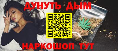 СК Гатчина