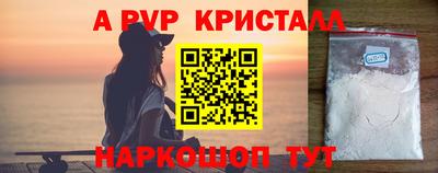 СК Гатчина