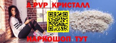 СК Гатчина