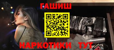 СК Гатчина